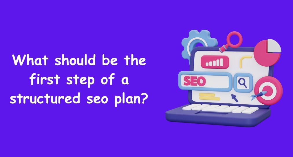 What should be the first step of a structured seo plan?